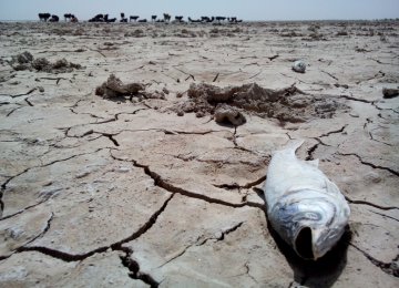 Dredging at Hamoun Tributaries Underway 