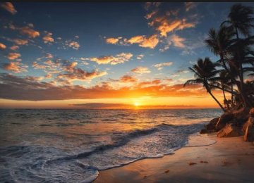Hawaiian July Tourism Posts Robust Revenues