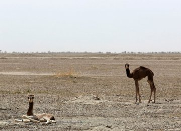 Fresh Relief for  Jazmourian Wetland