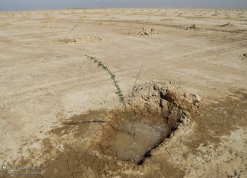 Water for Khuzestan’s Anti-Desertification Schemes
