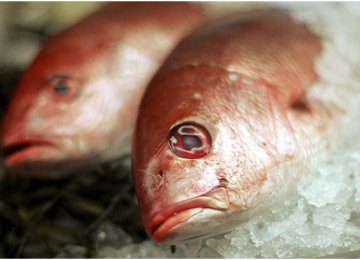  The extra mercury could reverberate up the food web to fish that humans eat.