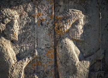 Italian, Spanish Experts to Help Rid Persepolis of Lichens