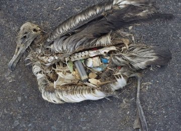 UK Pledges $88m to Fight Scourge of Plastic Waste