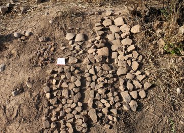 Shiraz More Ancient Than Previously Thought  