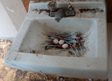 Vancouver Police&#039;s &quot;Syringe Nest Photo&quot; Disputed