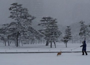 Rare Snowstorm Disrupts Tokyo Transportation