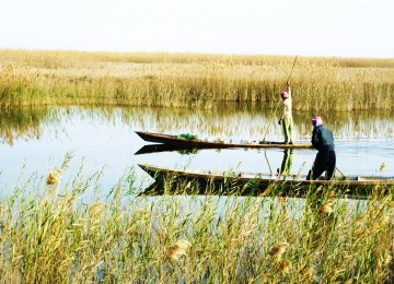 Iran must ensure 60 million cubic meters of water for the wetlands every year.