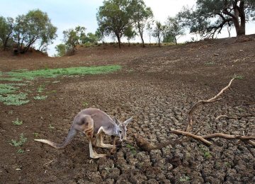 Australia Drought Could Cost $12 Billion