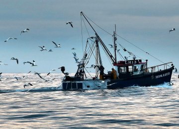 German fishermen depend on access to UK herring.