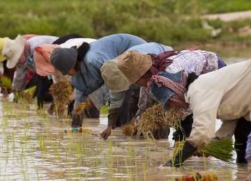 World Bank: Fixing Mindanao Economy Key to Philippines Progress