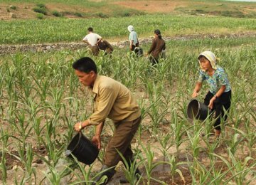 About 70% of North Korea’s population of 25 million is food insecure.