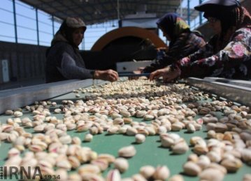 Pistachio Exports Top 35K Tons in 4 Months