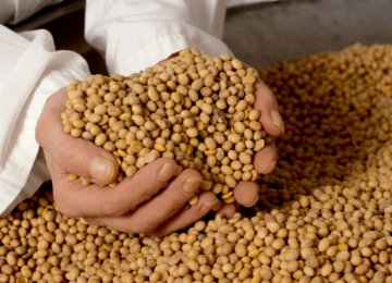 President Mauricio Macri earlier ruled out a policy laid out in the IMF document—maintaining taxes on soybean exports.