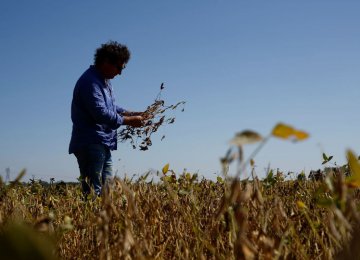 Argentina’s Worst Drought Undermining Economy