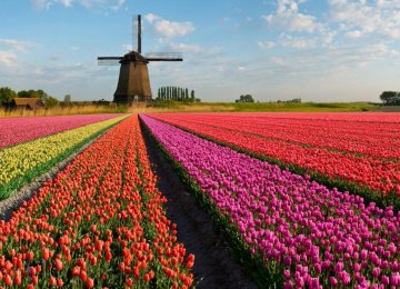 Despite Positive Signs,  Dutch Growth Faces Hurdles 
