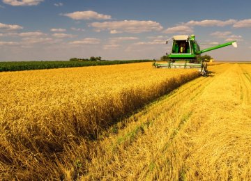 Agriculture is a very important sector for diversifying  the Kazakh economy.