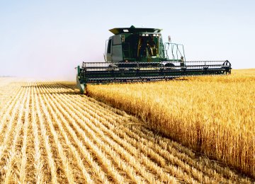 Agricultural production rose by 6.9% compared to H1 2017.