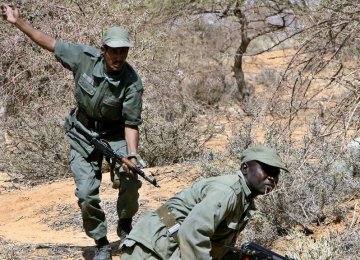 Mali soldiers participate in an operation against insurgents. (File Photo)