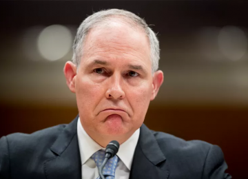 White House Forced  Pruitt Out of Office