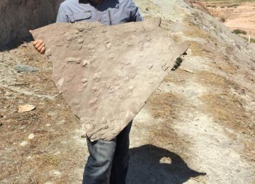 170m-Year Fossils Reveal Dinosaurs Roamed Alborz