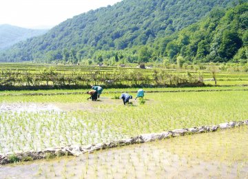 The government is going to place restrictions on the cultivation of crops in areas where underground water resources are at alarmingly low levels.