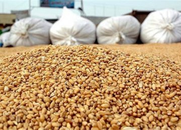 Corn, Rice Top List of Iran Imports