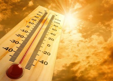 European Heat Wave Kills 5