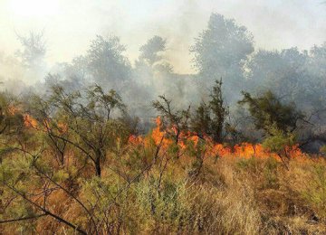 Fire in Miankaleh