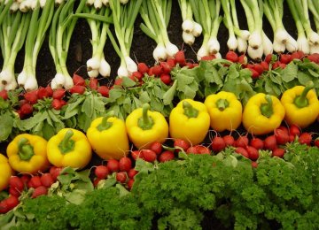 Agreement to Promote Belarusian Agro Products in Iran