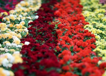 Iran exports about 7,000 tons of flowers, ornamental plants and herbal medicines annually.