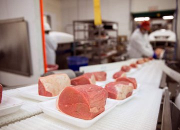 Iranian Firm Invests in Kazakhstan Meat Plant