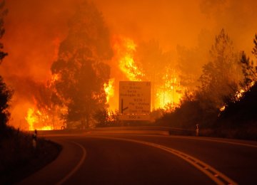 Portugal Forest Fires Kill 62 