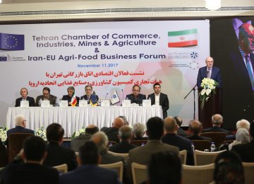 Phil Hogan, European Commissioner for Agriculture and Rural Development, addressing Iran-EU Agro-Food Business Forum - Photo Amir Pourmand