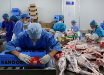 A worker packages frozen sheep meat at Darkhan Meat Foods that produces halal meat in Darkhan-Uul Province,  Mongolia, on Aug. 13.