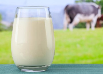 It is crucial to promote milk consumption and increase it to the global standard of 168 kg annually.