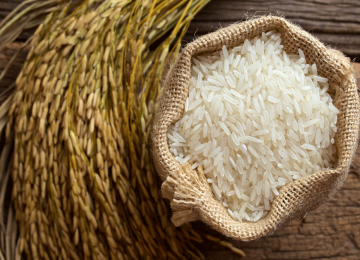 Iran Continues to Import Pakistani Rice From Dubai