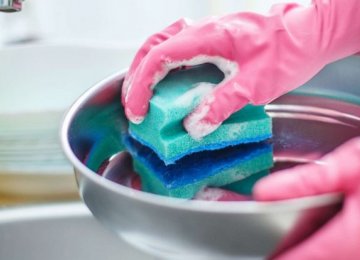 Cleaning Kitchen Sponge Useless