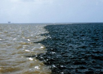Massive Polluted Zone Discovered in Gulf of Mexico