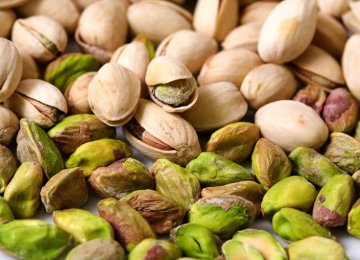 Pistachio Exports Exceed $850m in 9 Months