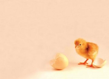Housing Market’s  Chicken-and-Egg  Dilemma 
