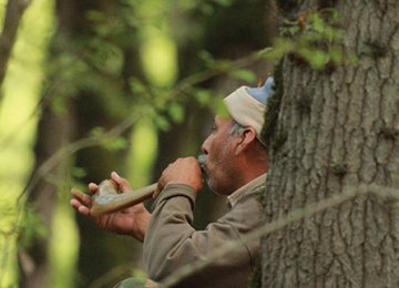 Turkmen Eco lodge  in Golestan National Park