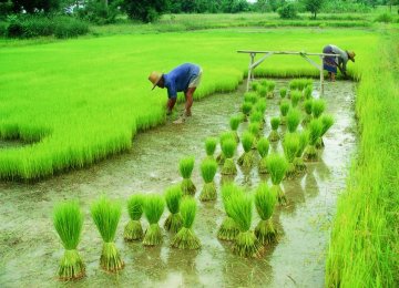 CBI Supports Agriculture Sector 