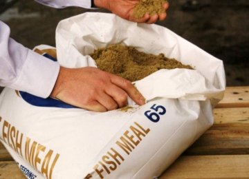Fishmeal Industry’s Investment Potential