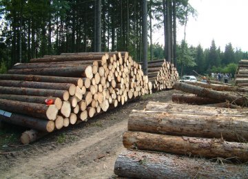 FRW Concerned Over Declining Forests 