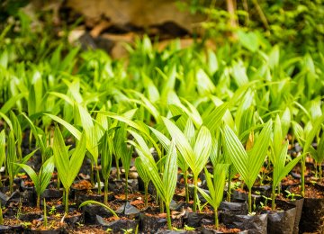 140K Hectares Dedicated to Organic Farming