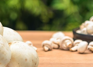 Mushroom Exports Earned $8.8m Last Year