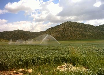 Alborz, West Azarbaijan, and Tehran reportedly have the largest areas of farmlands irrigated with raw sewage.