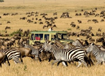 UNWTO: Tourism Can Help Preserve Biodiversity 
