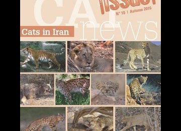 Guide to Iran’s Big Cats Published