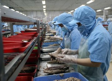 Vietnam Reports  Trade Surplus